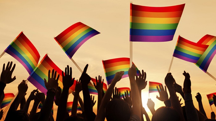 O DIA INTERNACIONAL DO ORGULHO LGBT RESSALTA A…